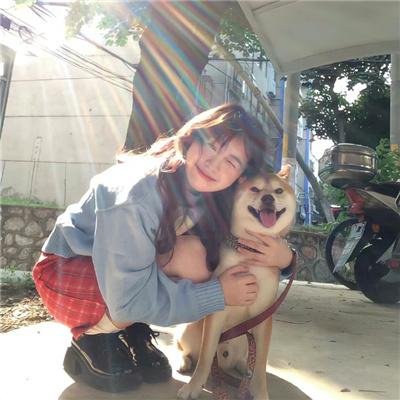 为什么猫都叫不来